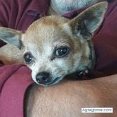 Foto de perfil de juanacevedo6291