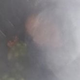 Foto de perfil de joseantonio6715
