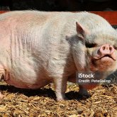 Busco pareja. Busco conocer a mujeres