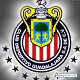 Foto de perfil de lalomartinez4753