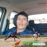 Ver fotos más de juanibarra8745