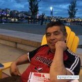 GoldenCat chico soltero en 