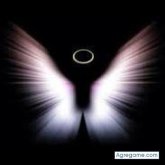 andresmambuca8000 foto #38