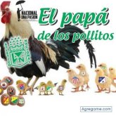 Chatear con carlosmariosalcedo de Urabá