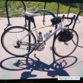 55miguel chico soltero en East Hartford