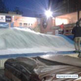 Guindo chico soltero en Santiago