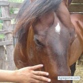 Chatear con javierjavier4375 de Arlington