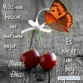 Alfredo10859 chico soltero en Tula De Allende