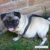 hiidrocalida chica casada en Aguascalientes