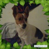 thor foto #47
