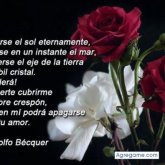 Foto de perfil de wuilfredohernandez
