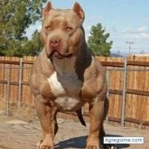 Foto de perfil de hectorjose5270