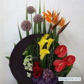 Chatear con ixkaknabdisenos de Pijijiapan