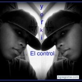 yorki foto #14