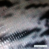 Busco conocer gente.