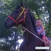 Chatear con washingtonbarrera de San José De Mayo