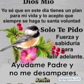 Chatear con wilmerchavarria de Tegucigalpa