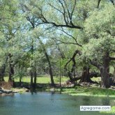 bambola chica soltera en El Llano
