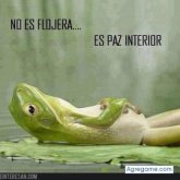 carpathianCriss foto #6