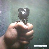 SANGREAZTEKA foto #88