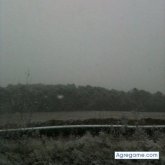 Chatear con javiersf de Monforte Del Cid