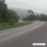 arielamador7604 chico soltero en Choloma