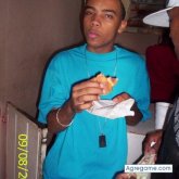 yorki foto #8