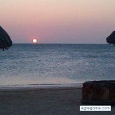 baruthriera foto #19