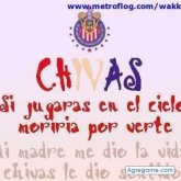 ricardo7216 foto #8