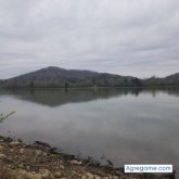 Chatear con Elbelin de Marshall