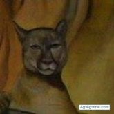 Ver fotos más de pumamarca