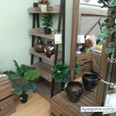 Ricocaramelo1 chico soltero en Jacona