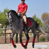 cirujano010