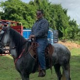 Hombres Solteros en Guápiles (Limon)