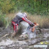 jarn foto #36