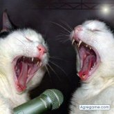 enrique2608 chico soltero en Tecoanapa