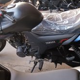 Clorodarmus chico soltero en Telica