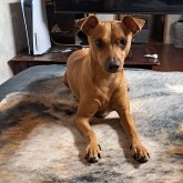 Mario197624 chico soltero en Philadelphia