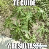 Chatear con Bam1965 de Jamundí