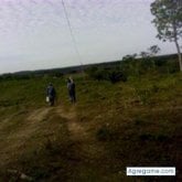 Foto de perfil de benjo77