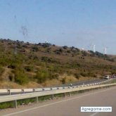 Me gusta dar largos paseos por la playa