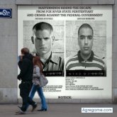 mohamedamor foto #55