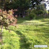 talle26 chico soltero en Rancagua