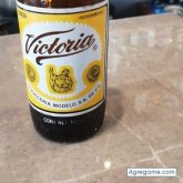 23angel chico soltero en Zacatecas