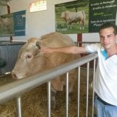 Busco hacer amistades. Chicas que sean