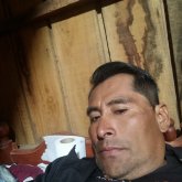 wilverdelgado