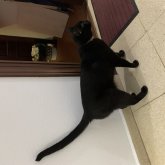 geta chico soltero en Oviedo