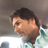 Sicahe chico soltero en La Calera