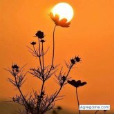 Chatear con juliopoggio de Punta Del Este