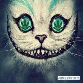 Chatear con joseernandez3059 de Monte Chingolo